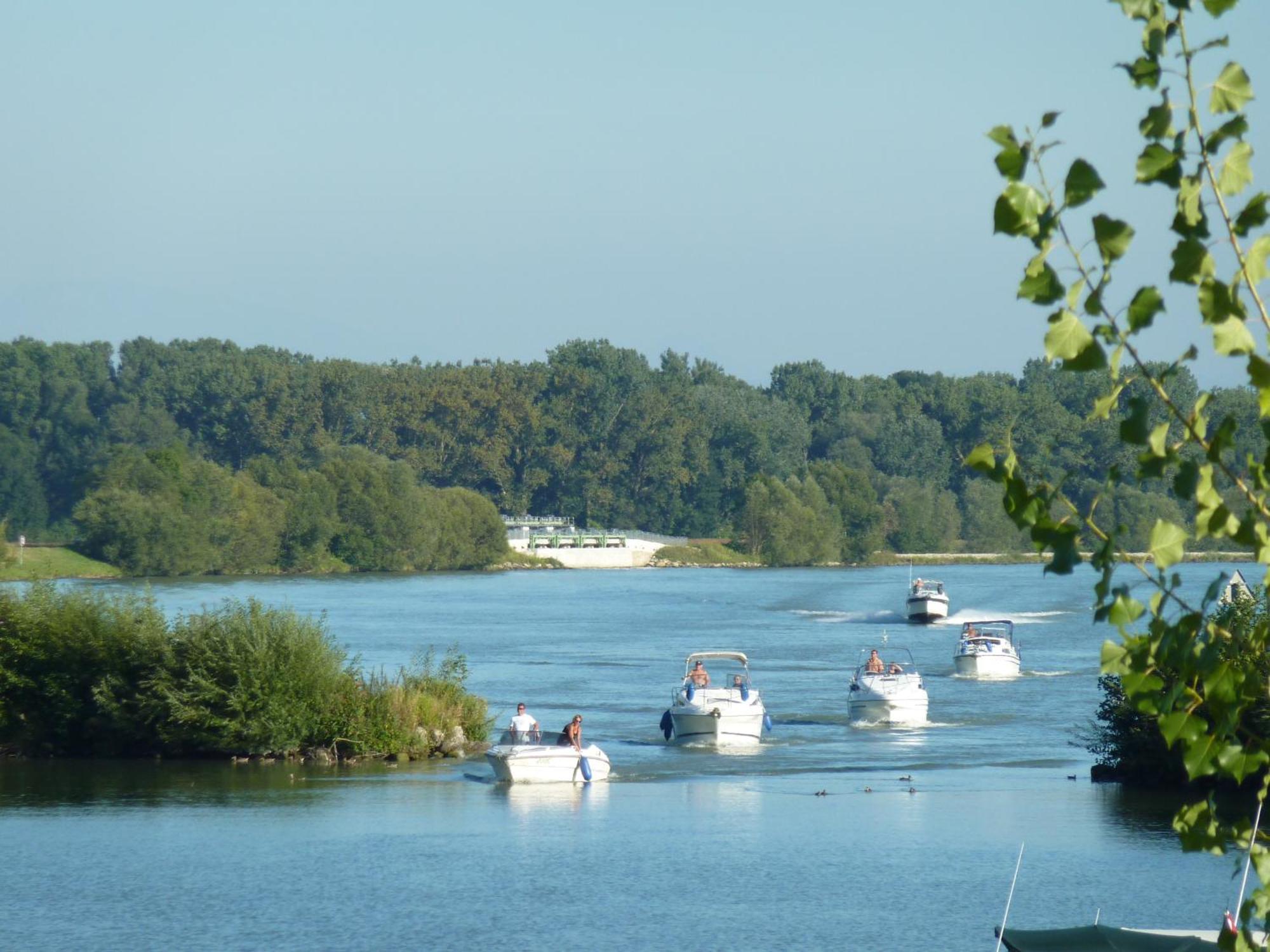 Camping & Pension Au An Der Donau Kültér fotó