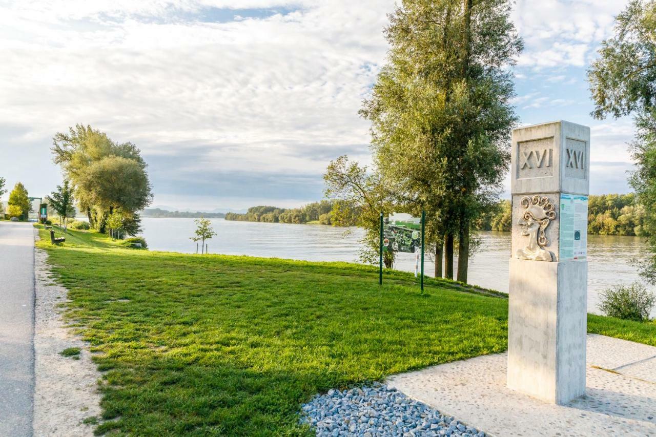 Camping & Pension Au An Der Donau Kültér fotó